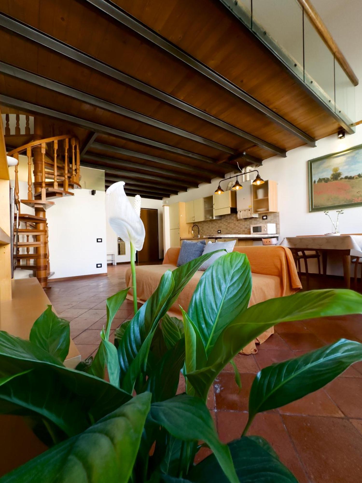 Il Loft Di Charme Di Ricc Apartman Faenza Kültér fotó